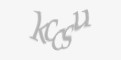 Защитный код